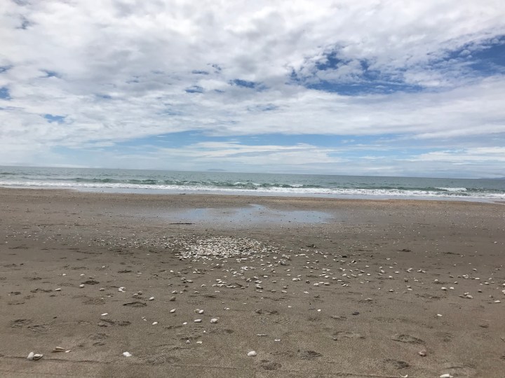 uybZq%pxSQmBrr5tkhJ2yg